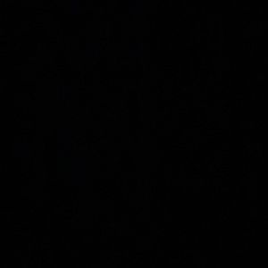 Meet your Posher, Malorie